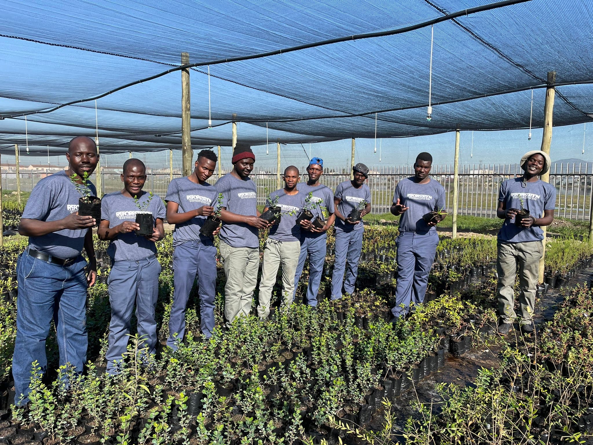 Tree Planting for Business