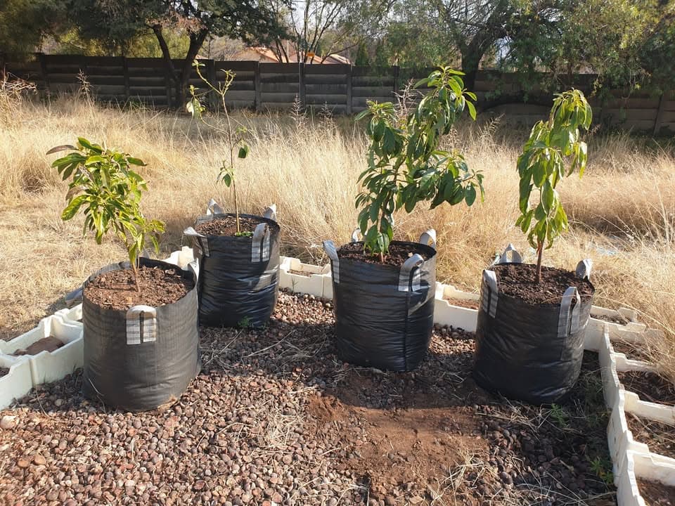 Community Planting Event